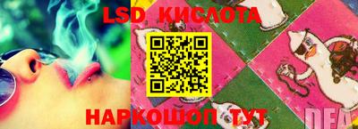 спайс Берёзовский