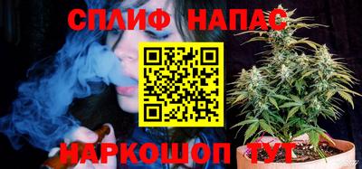 спайс Берёзовский