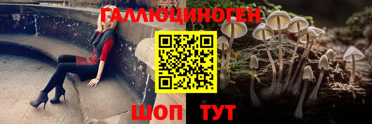 Галлюциногенные грибы Psilocybine cubensis  цены   Йошкар-Ола  Галлюциногенные грибы Magic Shrooms  Вход с VPN 